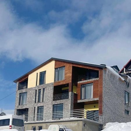 Dandelion Hotel Gudauri Ganisi Dış mekan fotoğraf