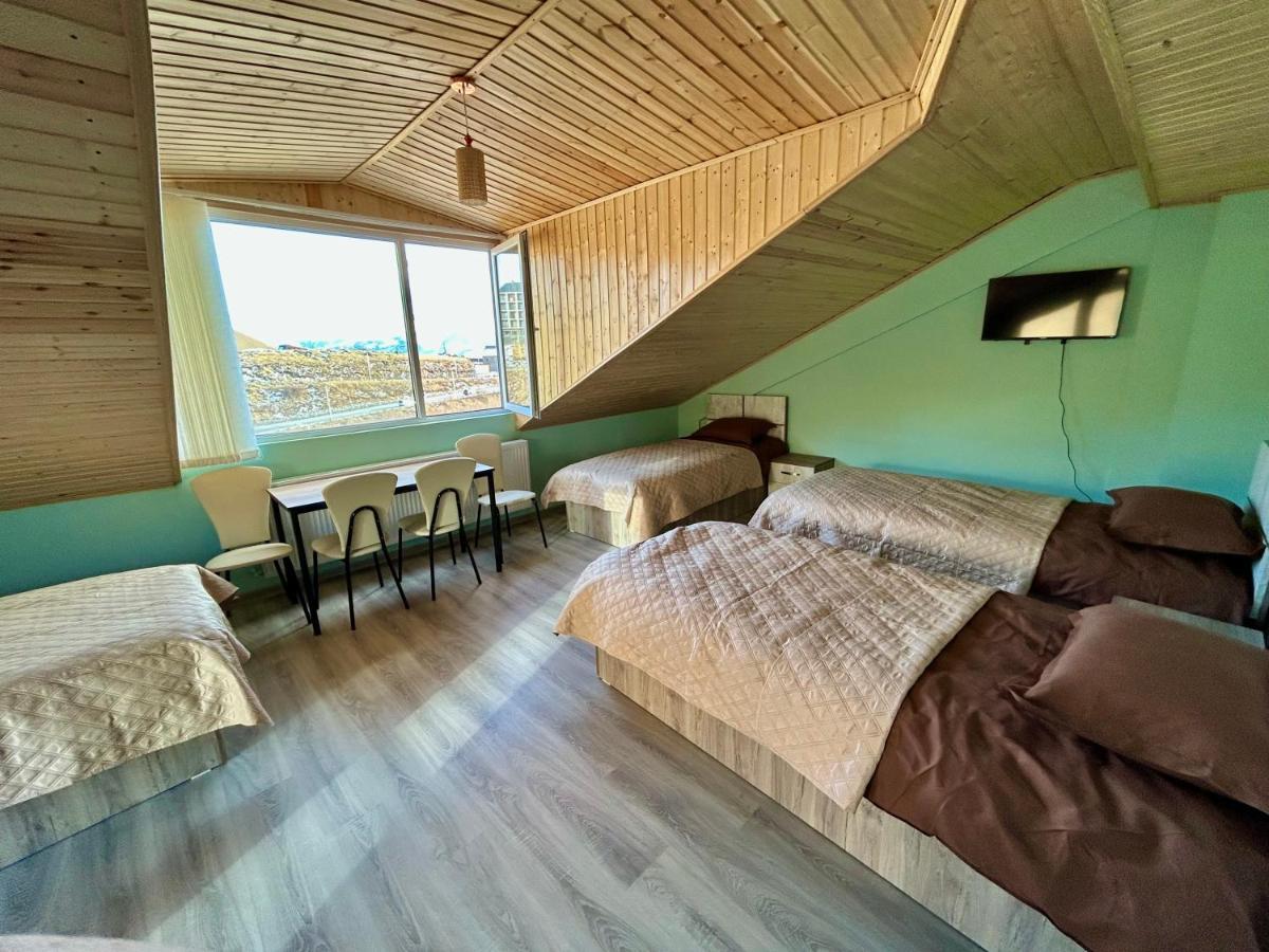 Dandelion Hotel Gudauri Ganisi Dış mekan fotoğraf