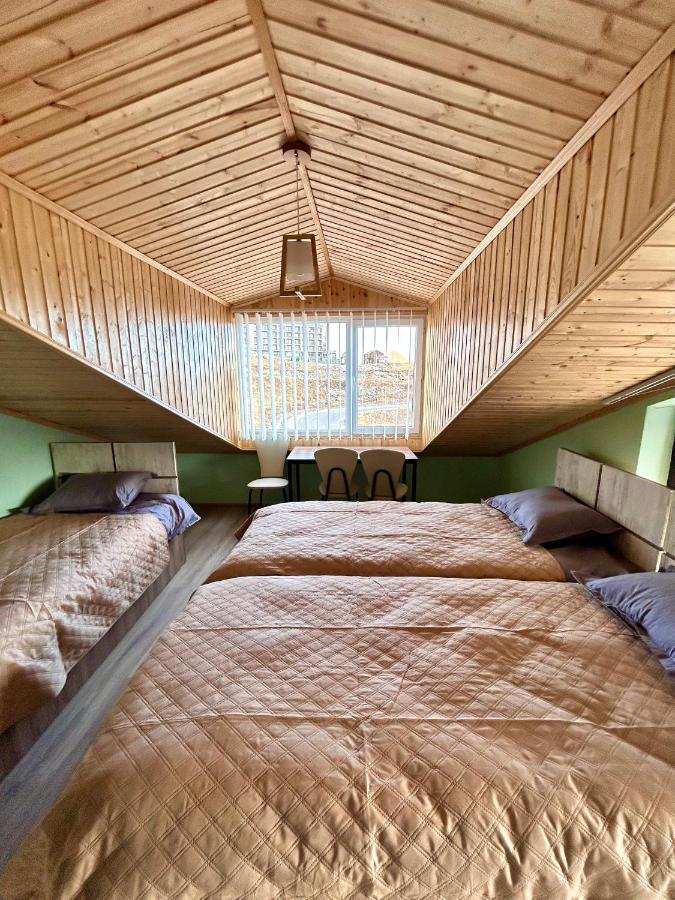 Dandelion Hotel Gudauri Ganisi Dış mekan fotoğraf